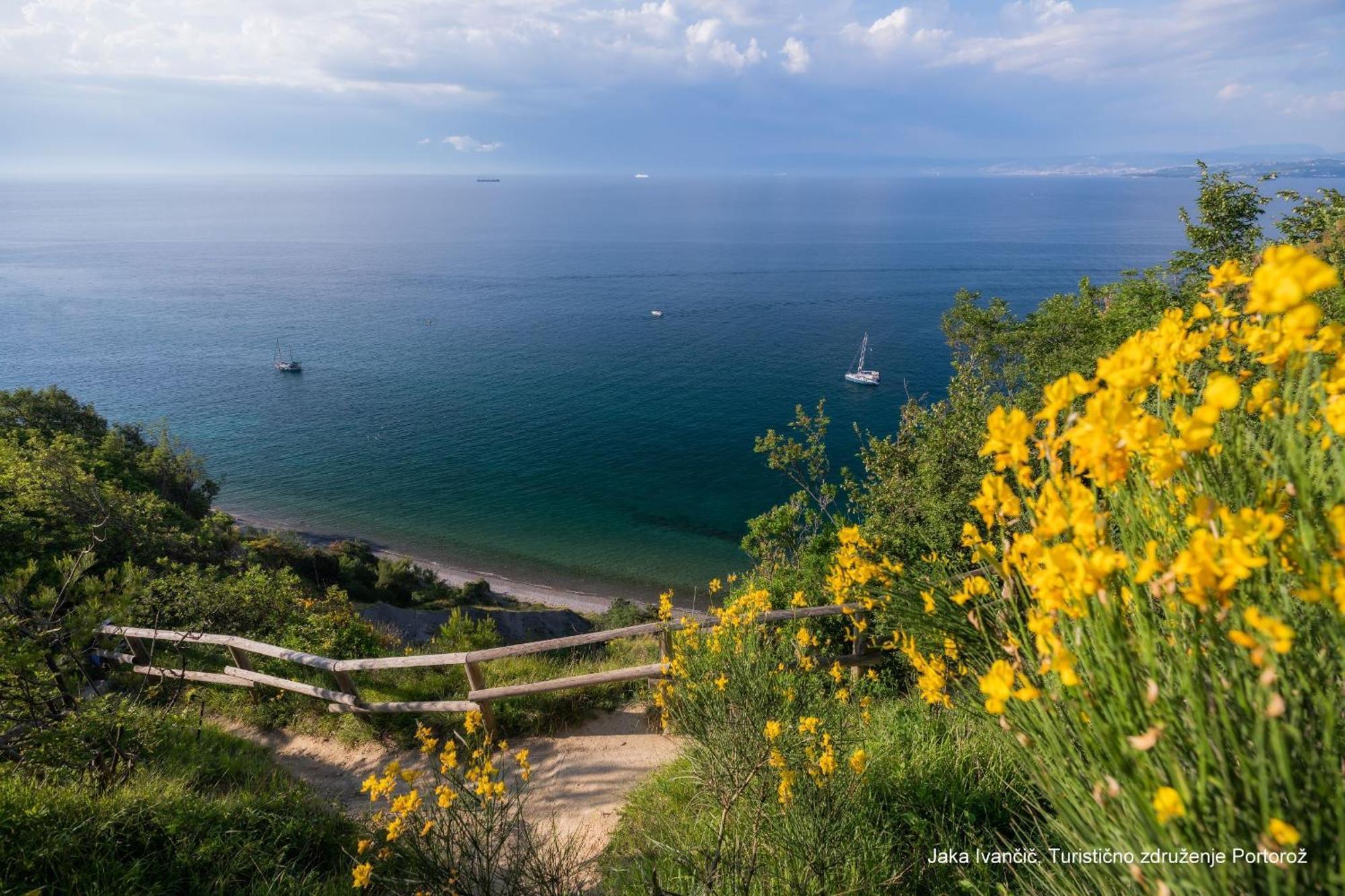 Under The Rock House In Osp With Hot Tub Διαμέρισμα Εξωτερικό φωτογραφία